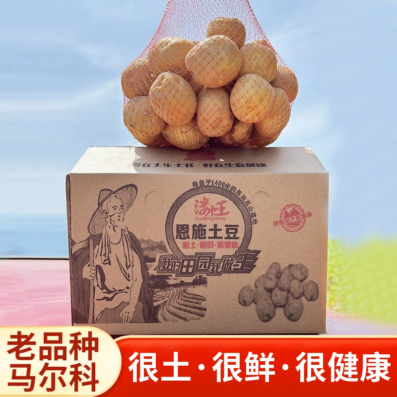 【5-9斤】恩施土豆老品种马尔科洋芋黄皮黄心土豆粉糯（轻微发芽）