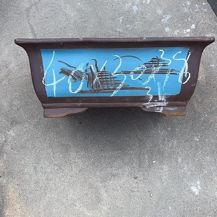 40蓝马槽花盆花盆花盆