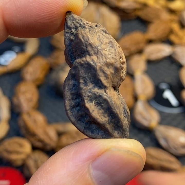 吊坠文玩核桃娜姐32