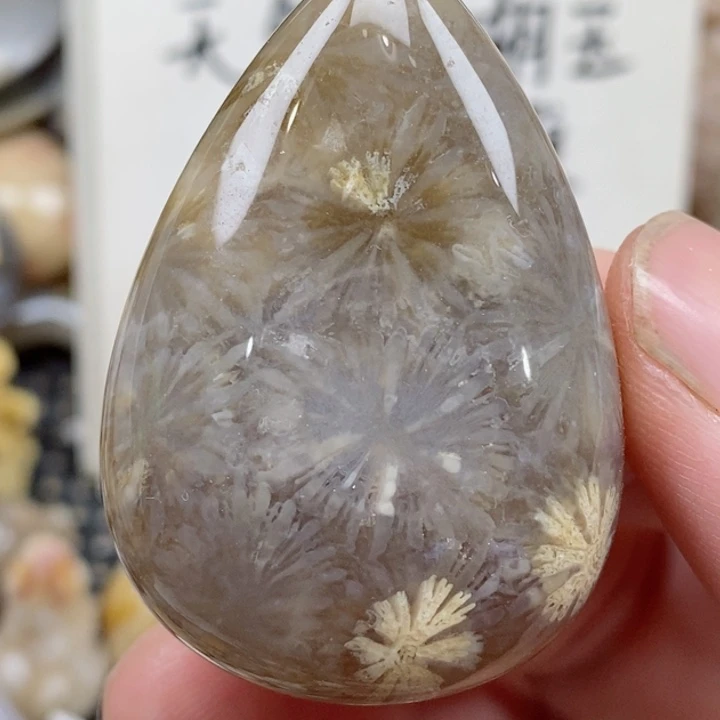 颈饰未镶嵌硅化珊瑚（珊瑚玉）