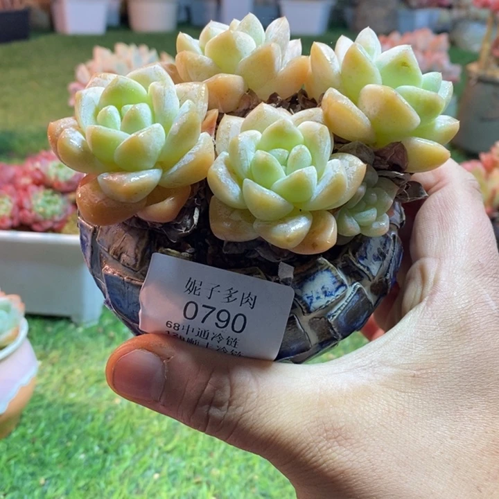 0790啊啊啊啊啊啊啊啊啊