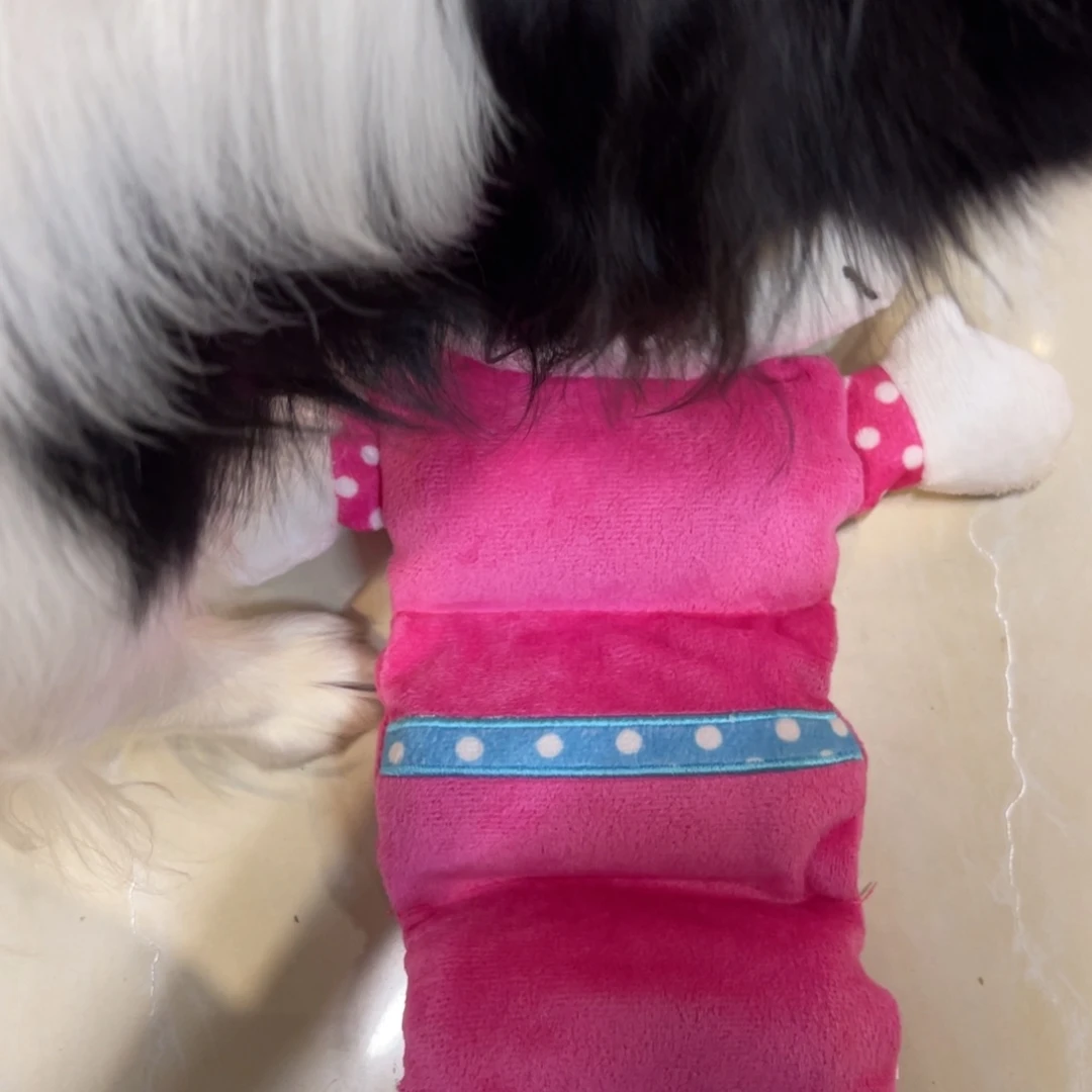 kitty玩具一个！！