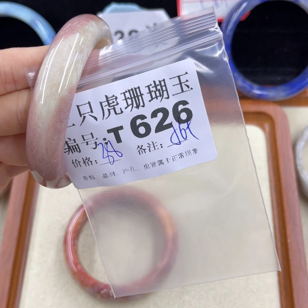 ****子硅化珊瑚（珊瑚玉）h未镶嵌