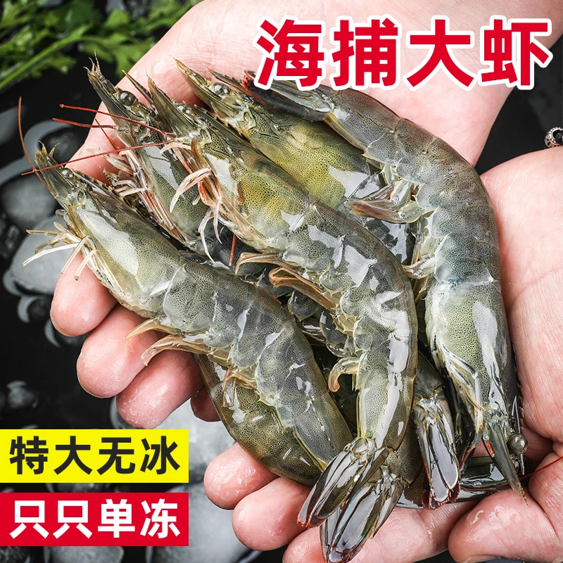 【岛上鲜】气冻40/50海捕大虾本地大虾速冻海捕基围气冻冻虾1500g