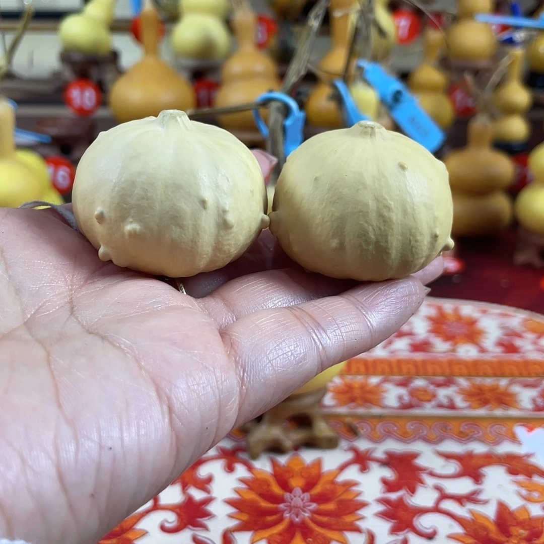 把h和哥哥和姐姐会更后悔