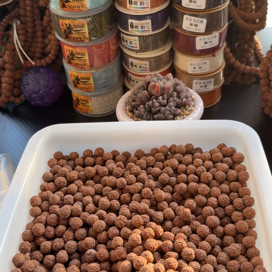 城***边吊坠金刚菩提龙鳞300颗