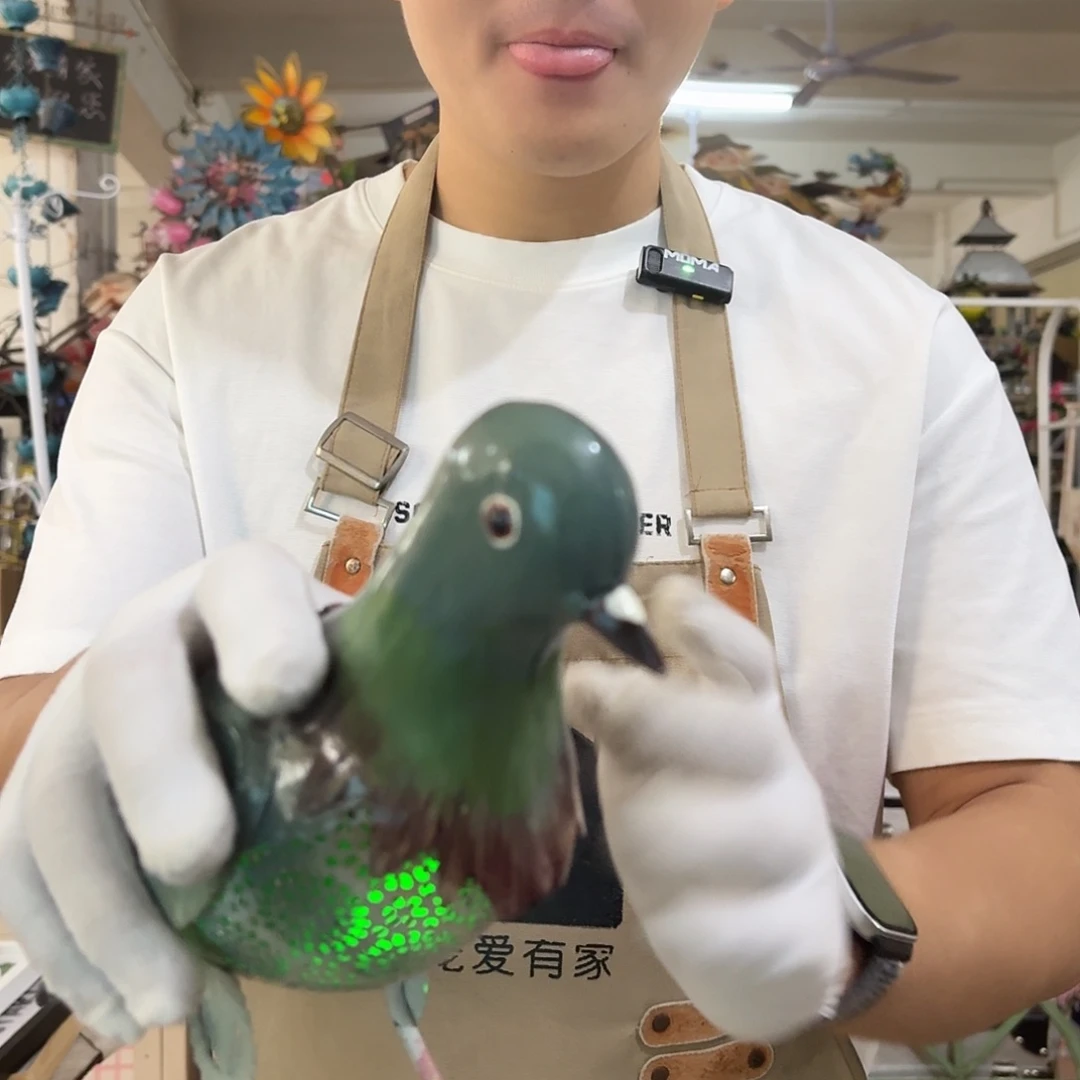 核桃木/黑胡桃（胡桃木）