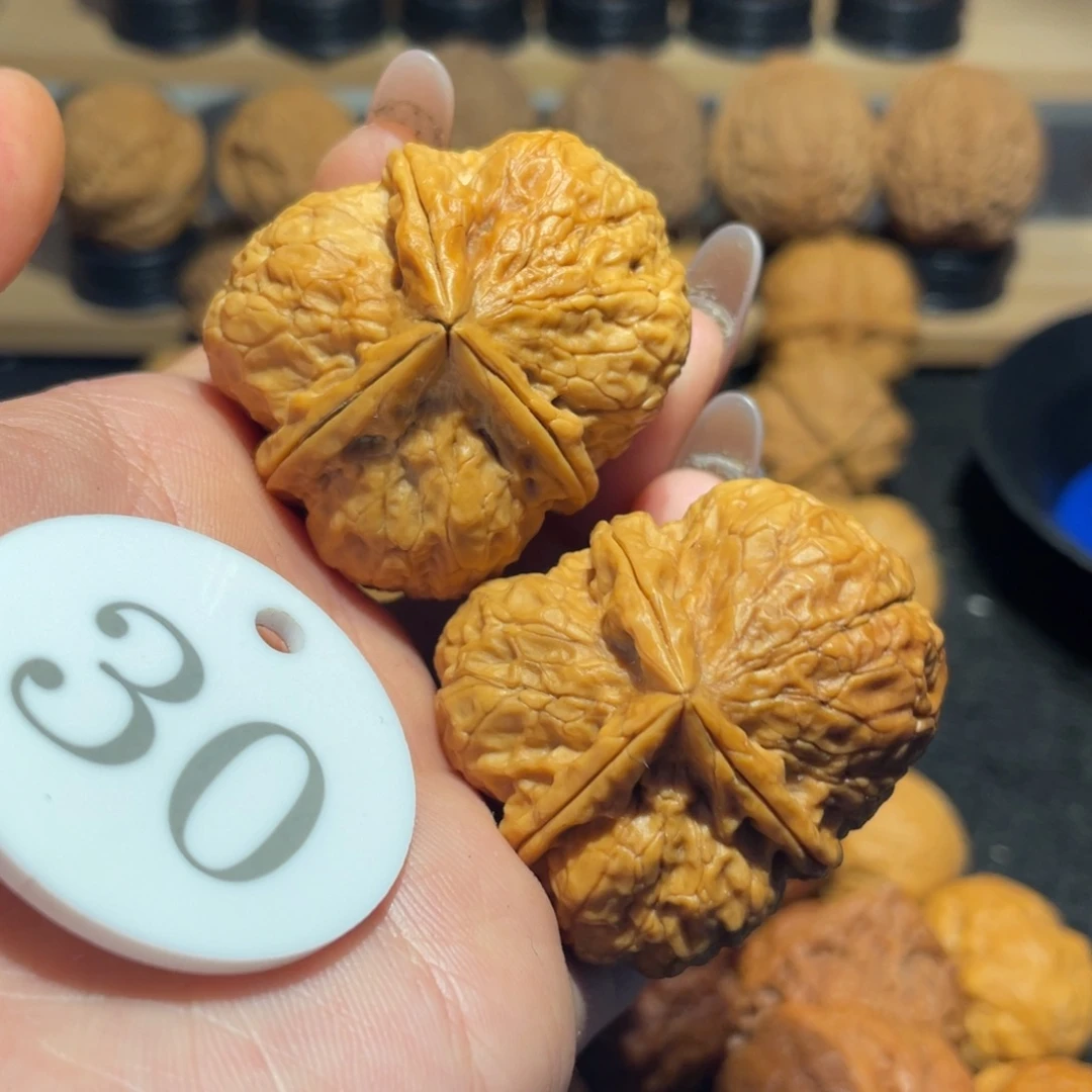 铁狮子人丁兴旺三棱带彩42