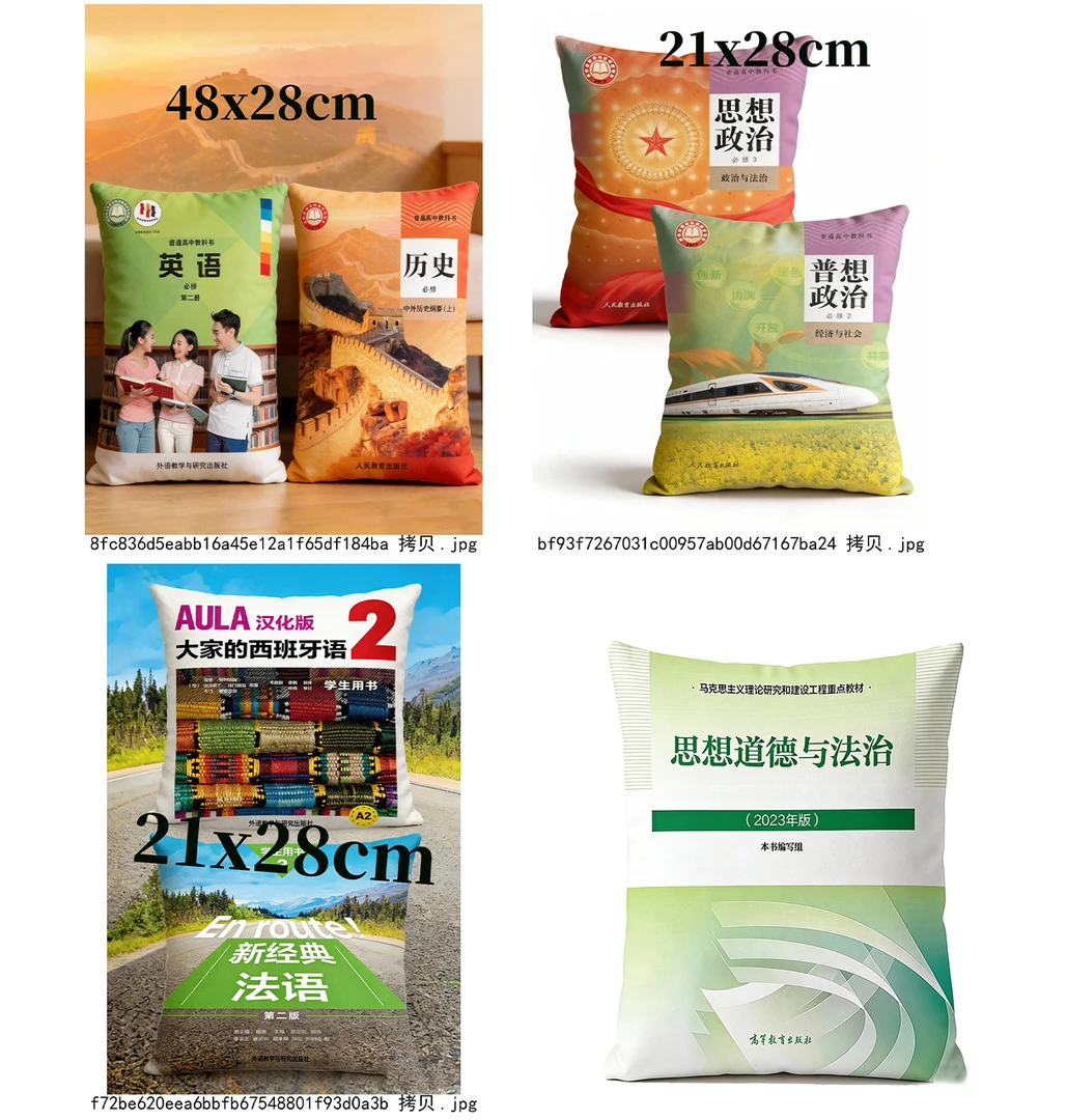 新思想道德与法治高等教育书本枕双面抱枕宿舍卧室靠垫来图定制