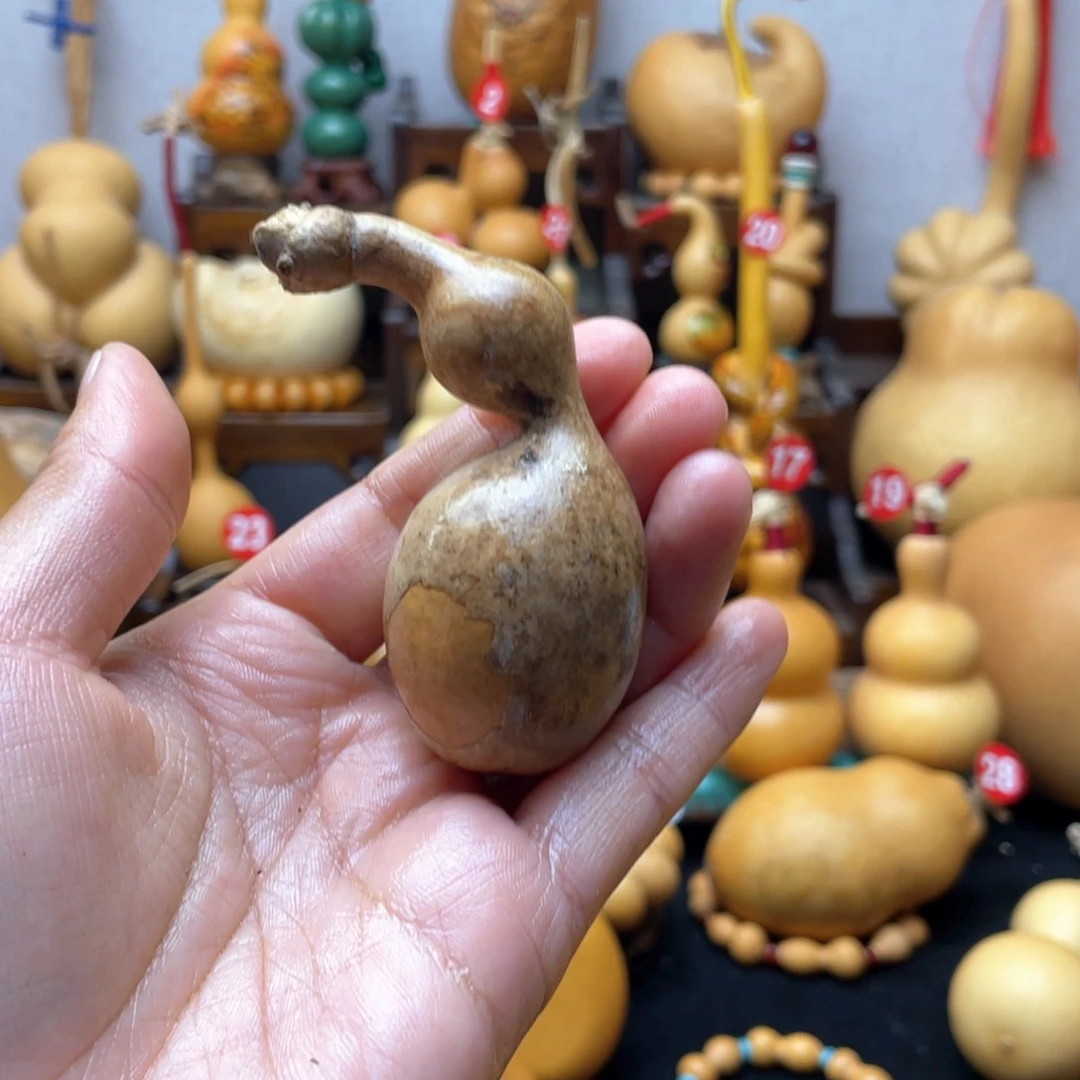 厉**呦大自然的秘密是什么啊哈哈