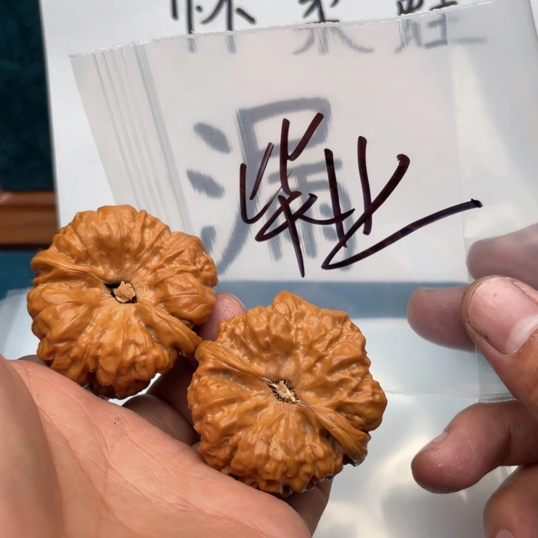 核桃手串/手链W368639639648369469