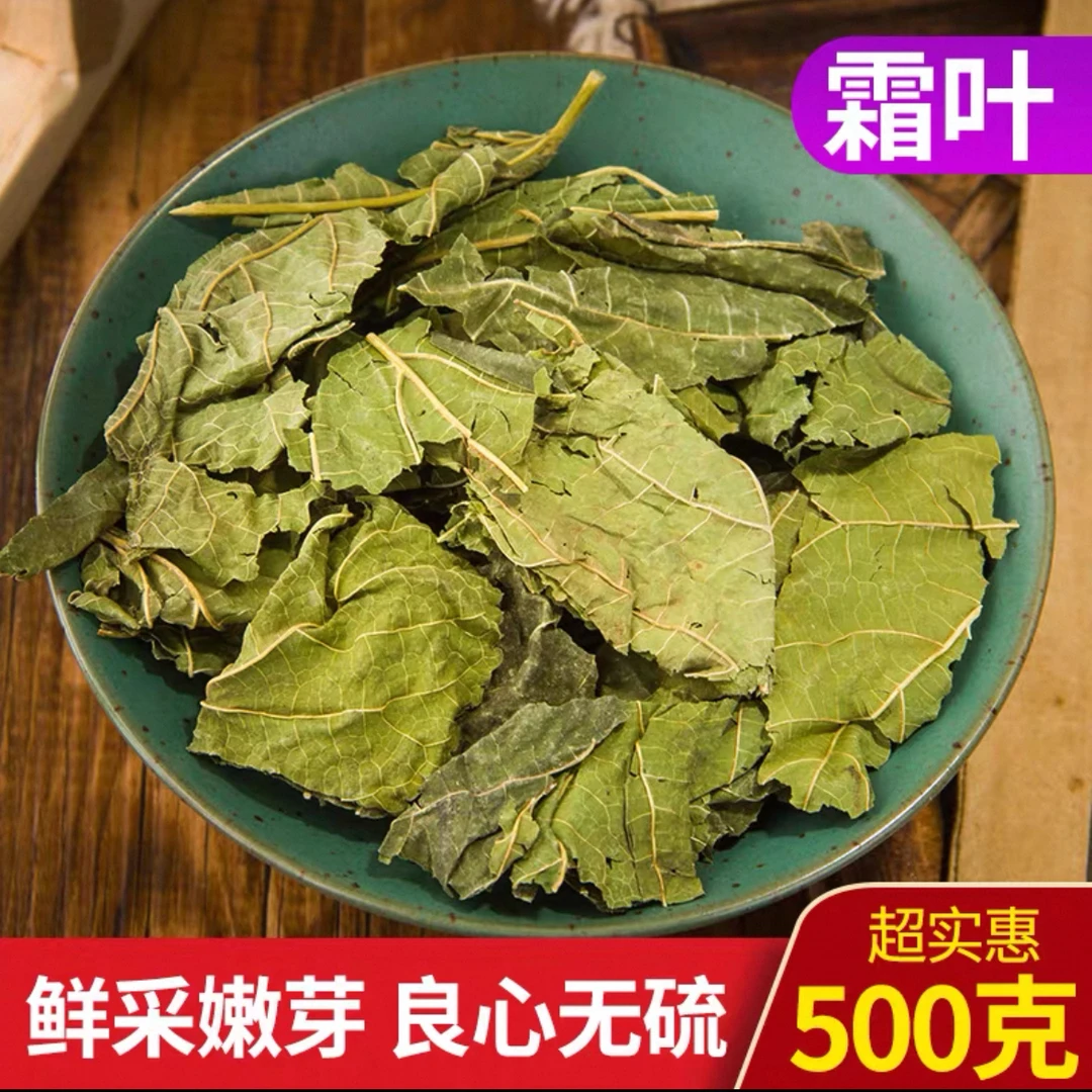 霜后桑叶包邮新鲜晒干纯天然 干 青 冬 桑叶茶正品特级中药材