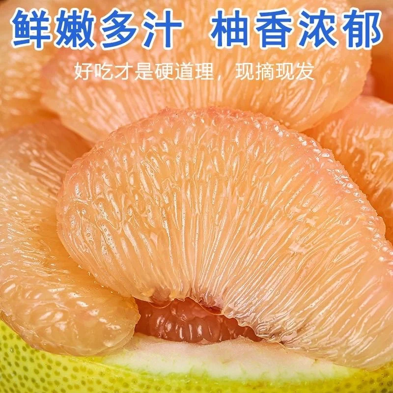福建仙游度尾文旦柚 清甜多汁 当季新鲜水果现摘现发无孔蜜柚子