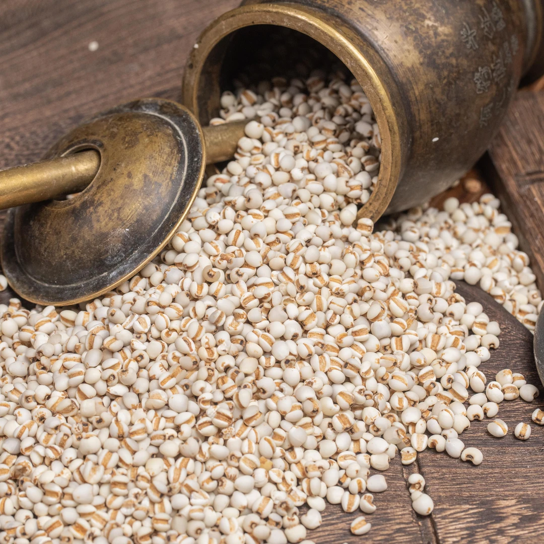 生薏苡仁 道地高品质经方经典优质正宗原产地直邮新鲜