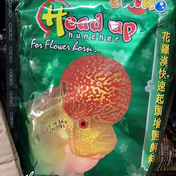 罗汉鱼增头料1斤装