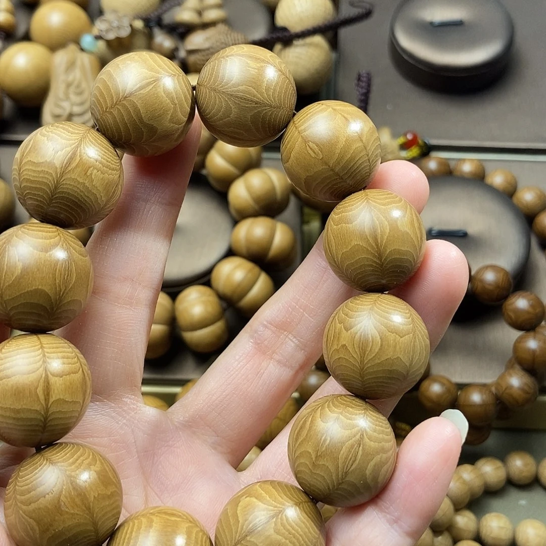 星***诺六道木山西五台山