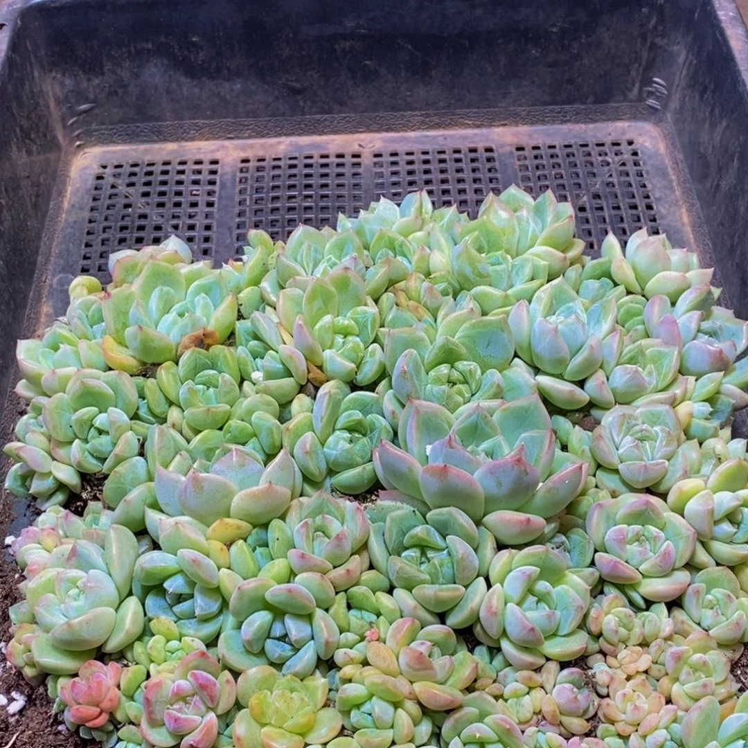 106的人在一起的时候就会觉得