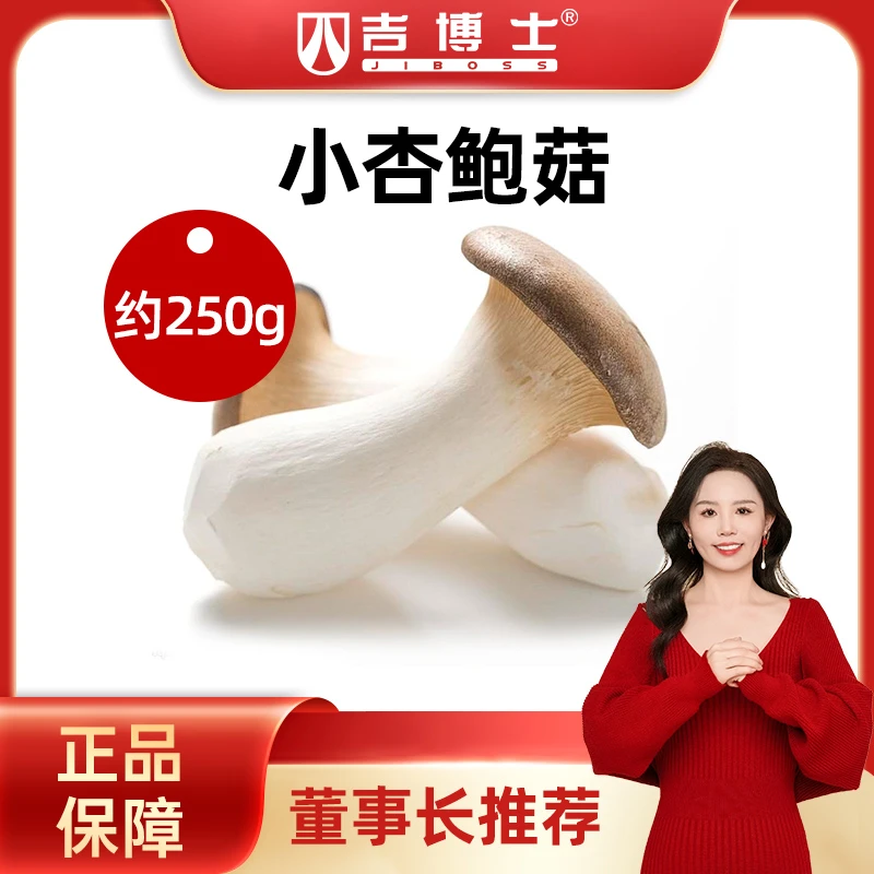 【精品菇】精品黄河口岸杏鲍菇 董事长精选