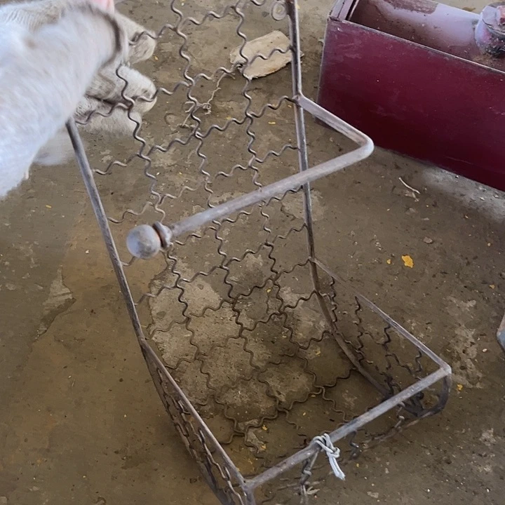 哈哈哈哈就奇奇去bhh