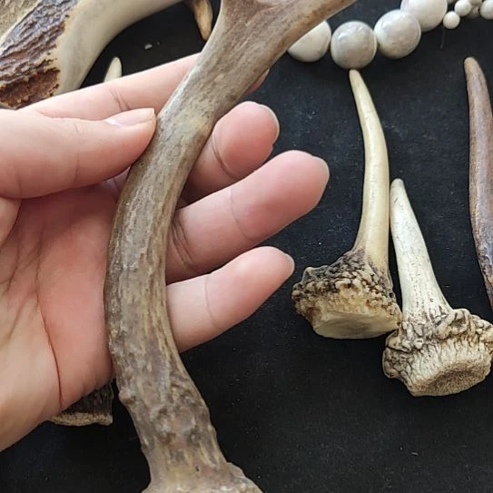 新骨瓷鹿角尖鹿角尖鹿角尖