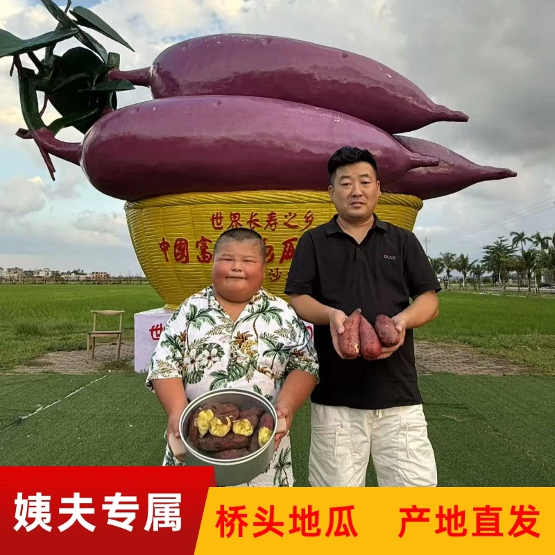 海南正宗澄迈富硒桥头地瓜新鲜精品大果沙地番薯礼盒5斤/9斤装