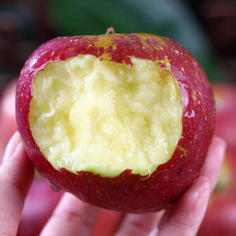 【果有心】四川大凉山丑苹果2斤装新鲜采摘脆甜苹果应季水果