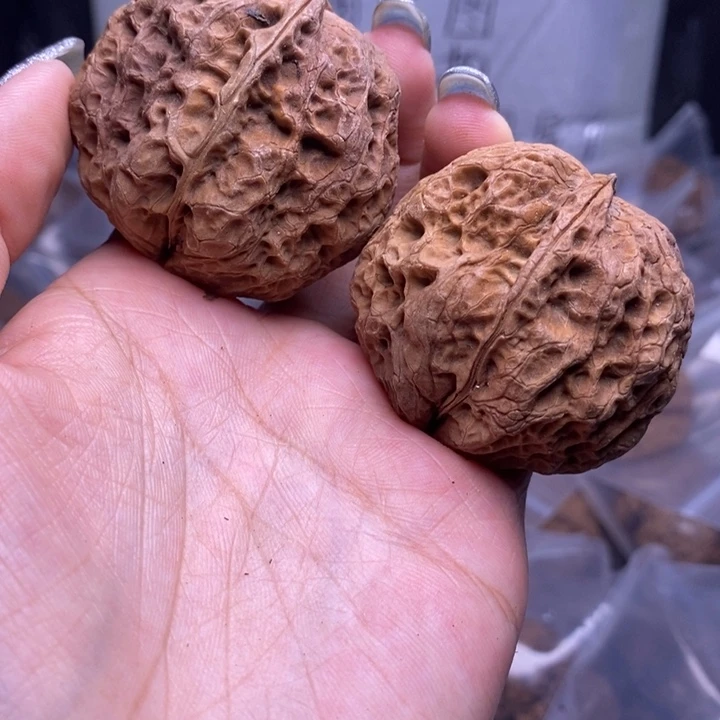 文玩核桃把件云南野生铁核桃31号45mm