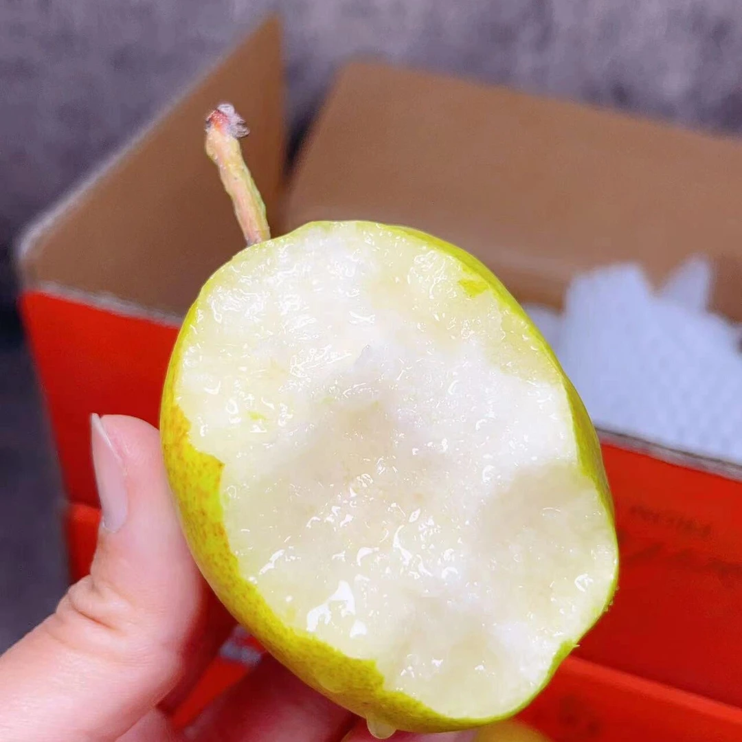 沙漠骆驼库尔勒香梨一箱毛重4斤左右