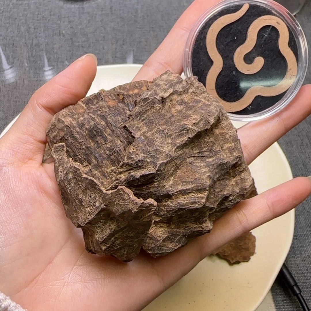 海南黑油老包壳10克