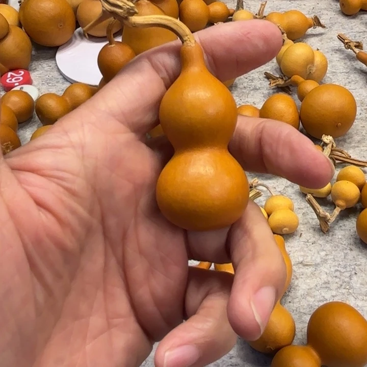 修****今修纹了一把天津嘴巴宝葫芦