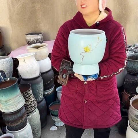 口20高25瑕疵盆子盆子