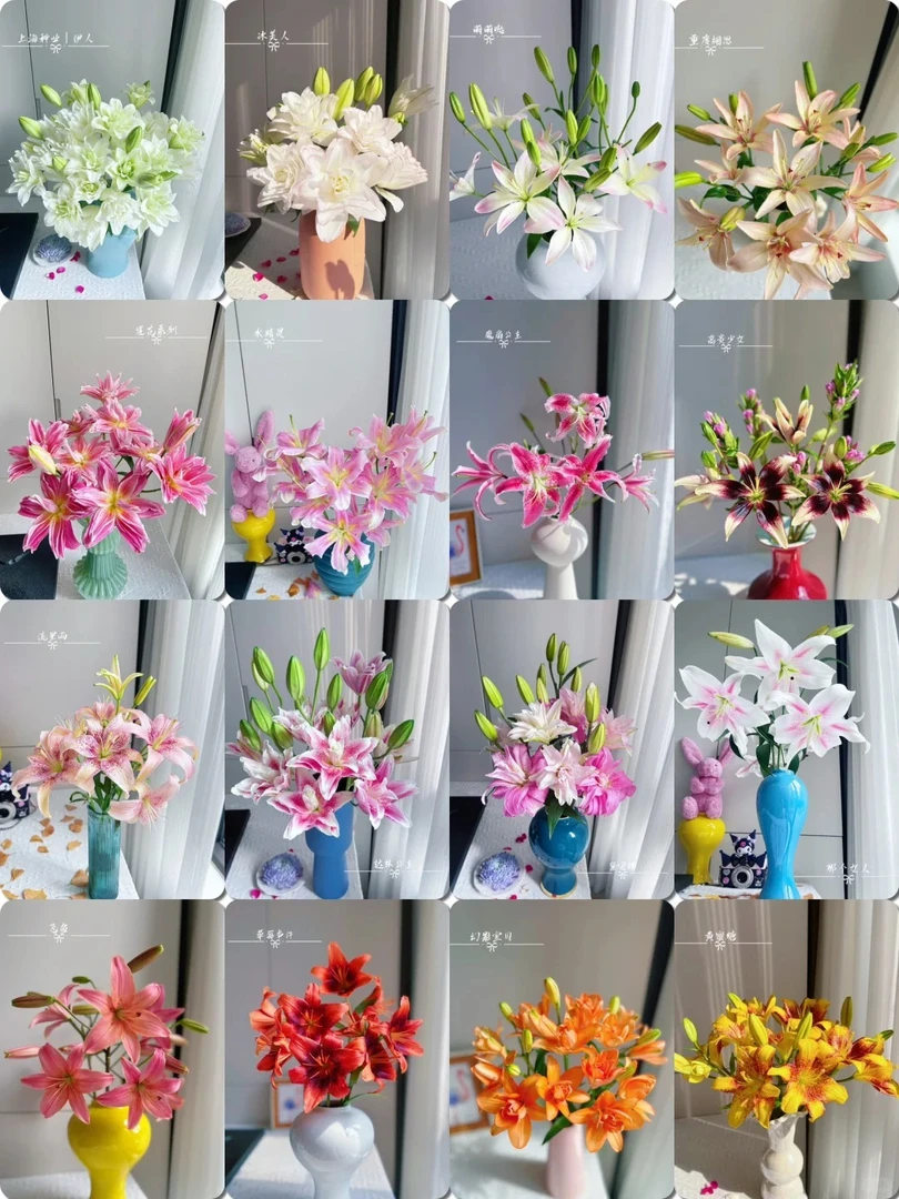 【惊喜小盒】任意2单鲜花云南直发鲜花家居水养插花鲜切花
