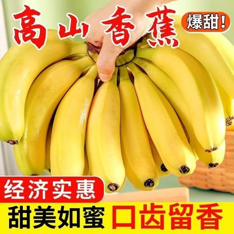 【产地直发】正宗高山香甜大香蕉新鲜水果一整箱批发芭蕉