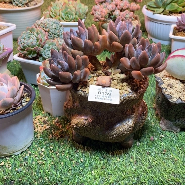 0139啊啊啊啊啊啊啊啊啊啊