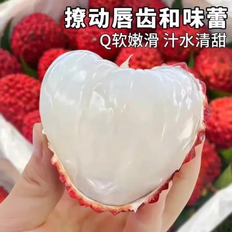 【广西荔枝王】广西荔枝王个头大新鲜当天采摘整箱包邮冷链发货