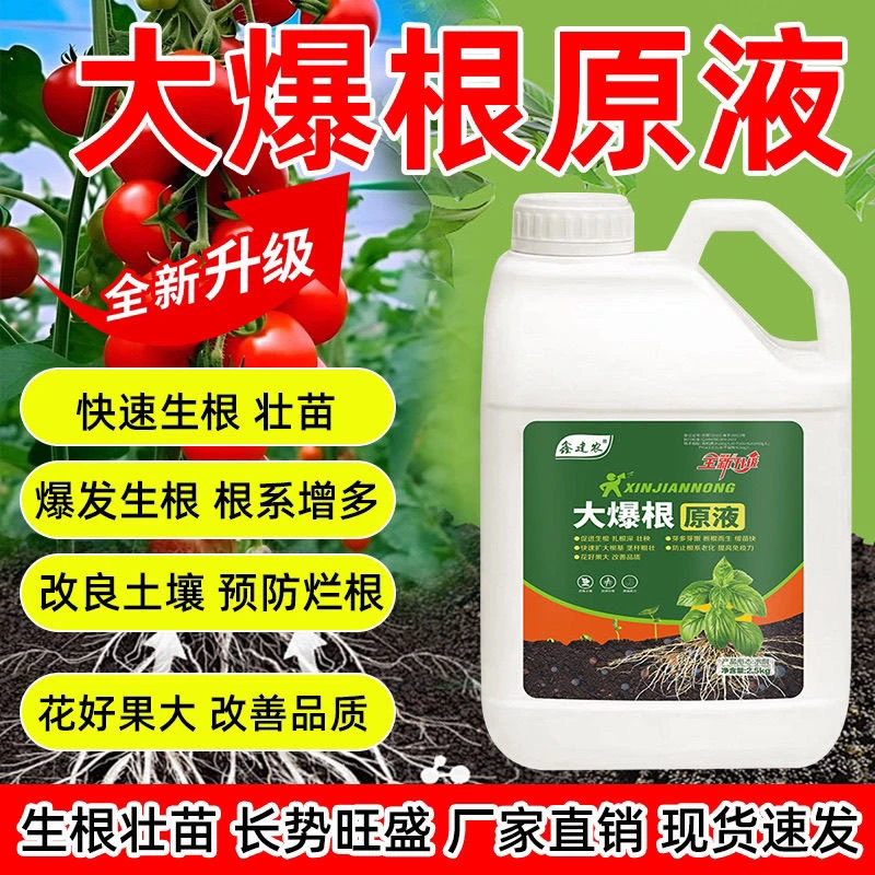 升级款【大爆根原液5斤大桶装】扦插移栽快速爆生根液壮苗根粗根壮