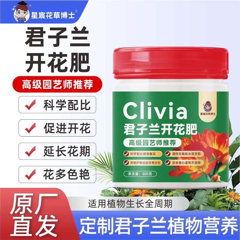 星宸花草博士君子兰适合植物生长全周期促进开花延长花期