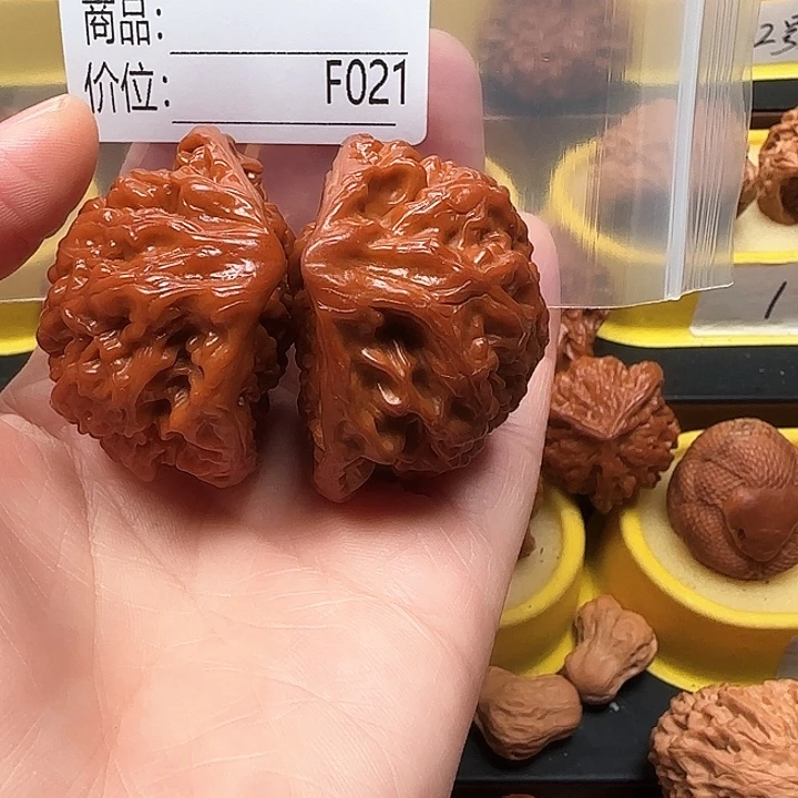 木质类蛇王蛇王蛇王45