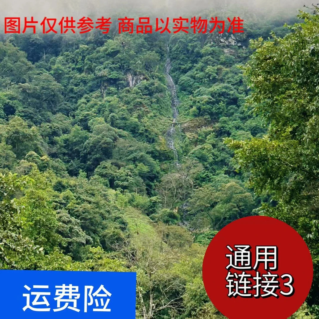 【高奢大货】冰岛-2003年小茶头普洱熟茶砖