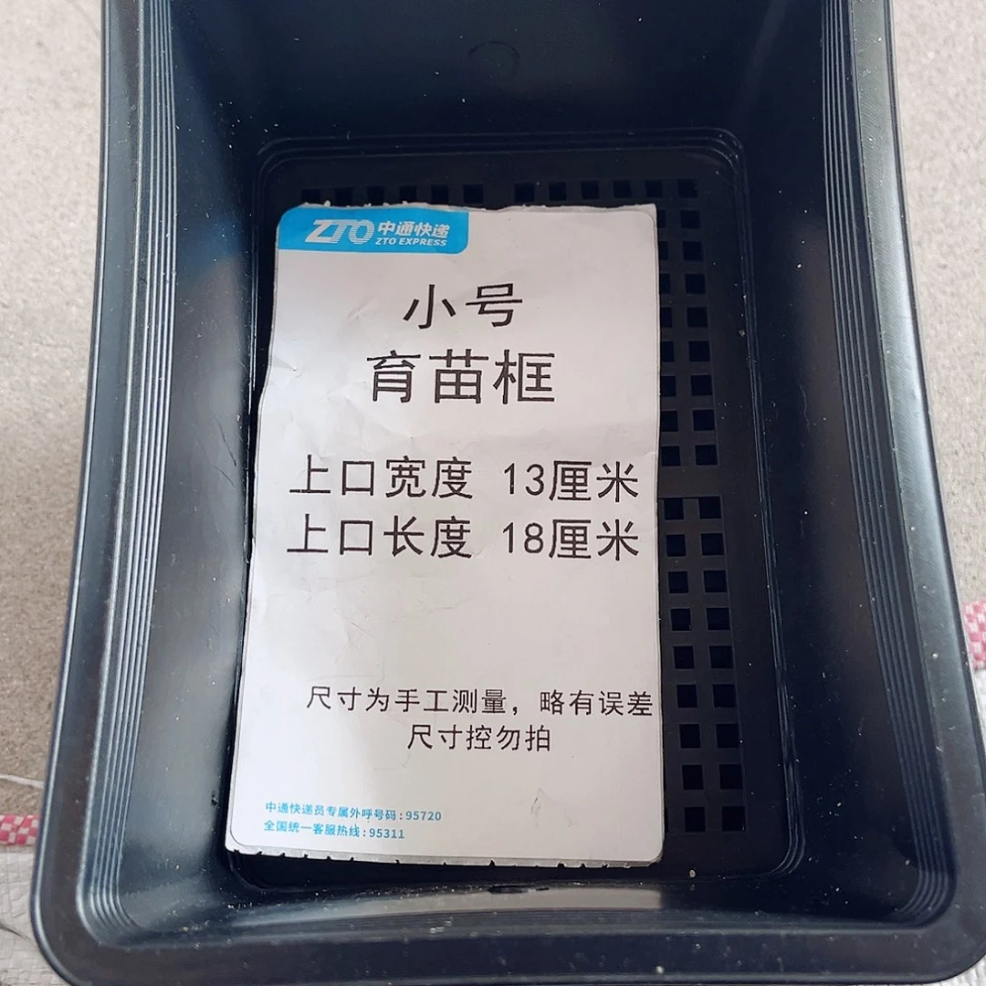 树脂小号育苗框黑色10个