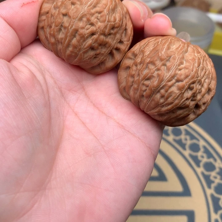 核桃41精品红皮铁锤妹妹