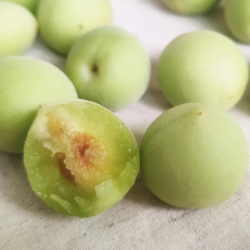 福建诏安小白梅青梅果泡酒专用青梅鲜果