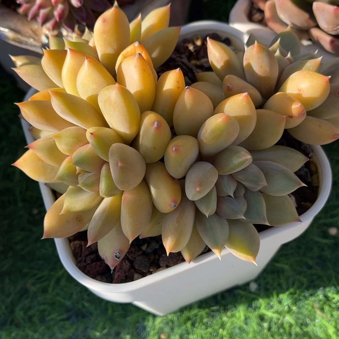 0362 满30包邮天冷必拍保温箱
