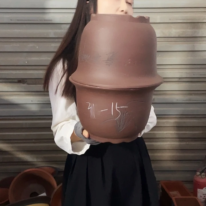 21-21平角金钟花盆花盆花盆花盆