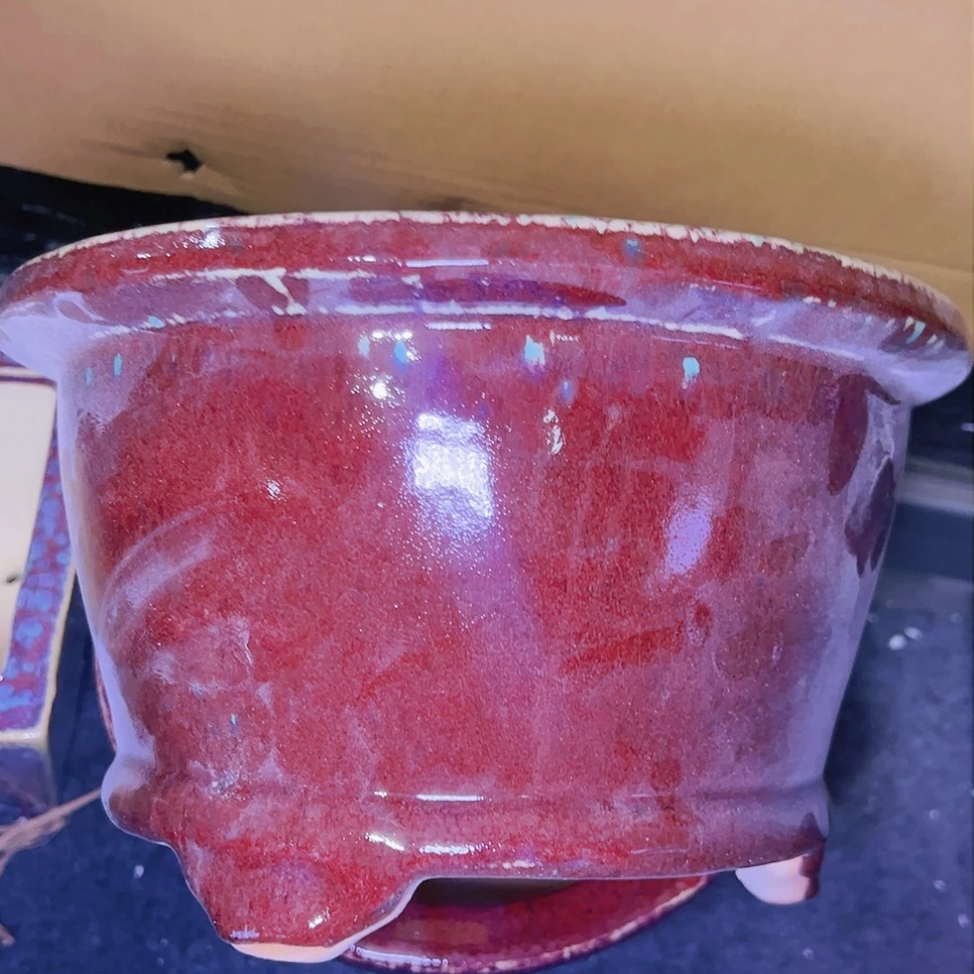 红陶今天仓播一件不留！！!