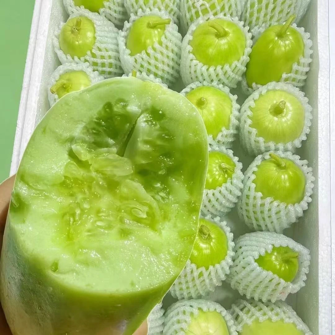 正宗产地直发 玉女黄瓜水果小黄瓜新鲜拇指黄瓜生吃青瓜蔬菜现摘