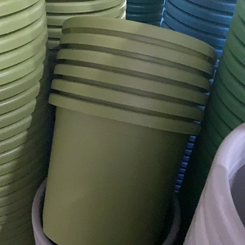 树脂微瑕5号6个无托果绿