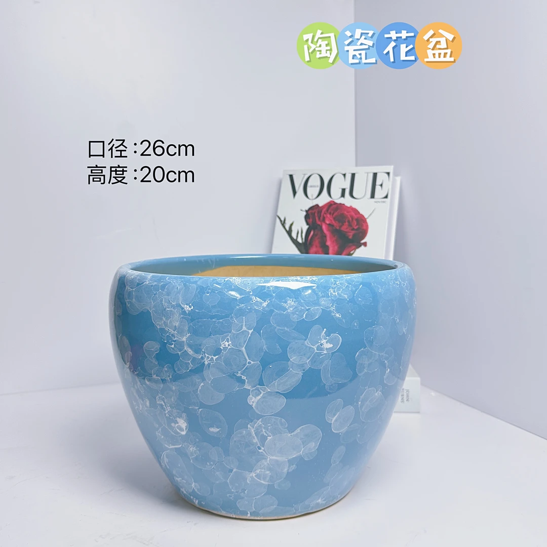 陶瓷花盆天蓝泡泡大号口径26高度20分蝴蝶兰发财树金钱树三角梅