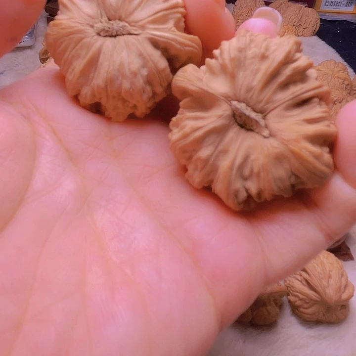 钱*多核桃核桃核桃核桃核桃