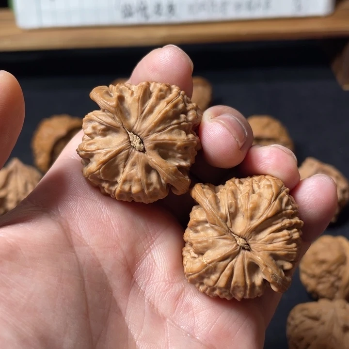 林***玉文玩核桃把件白狮子37mm